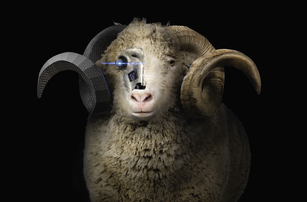 SheepFinal  — Studio 3, Inc.