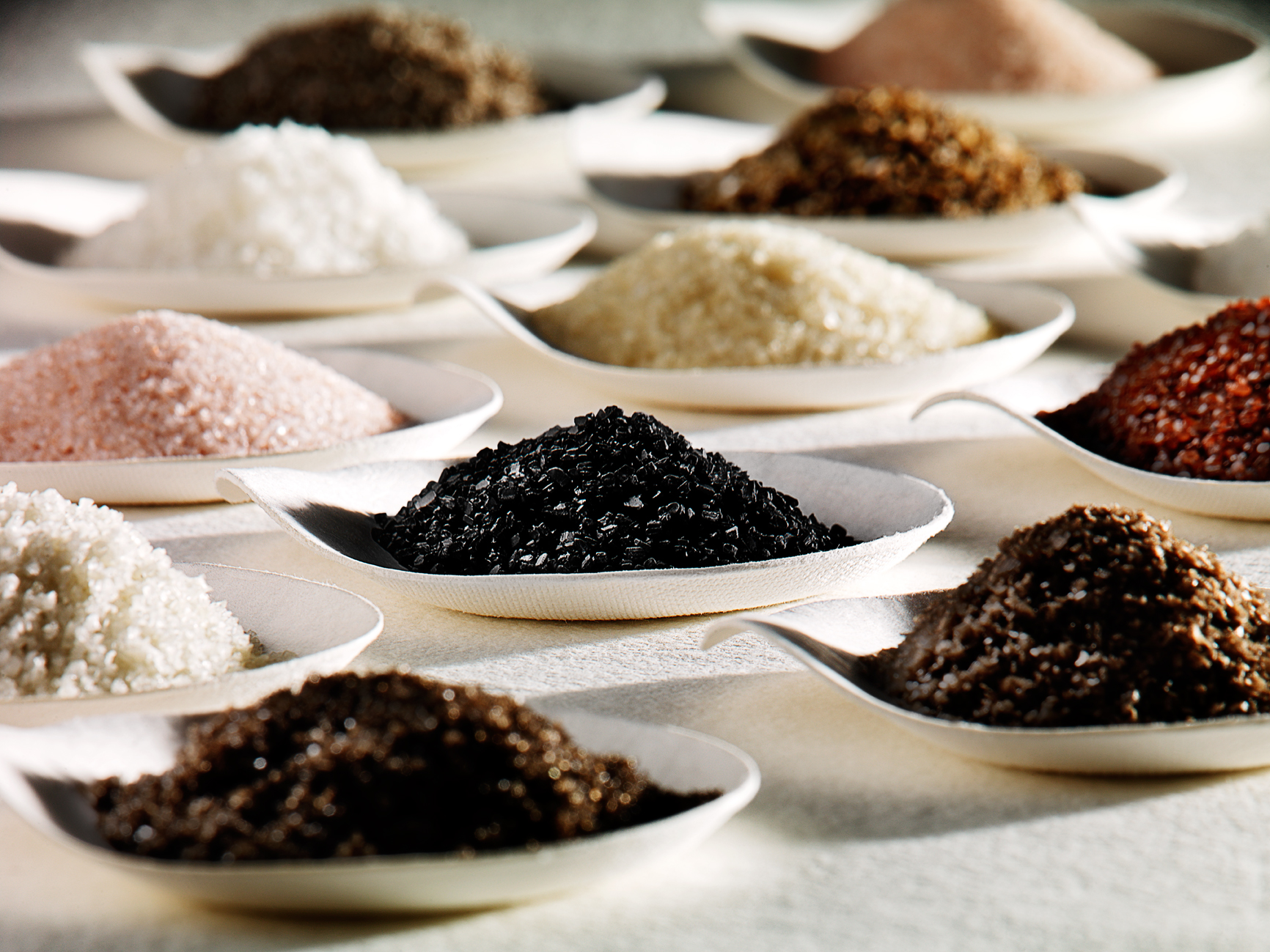 Food gradient of many piles of salt in dishes  — Studio 3, Inc.