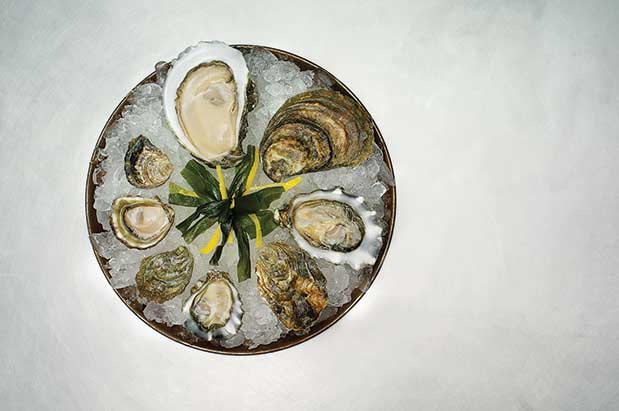 Seafood Oysters Seattle Magazine   — Studio 3, Inc.