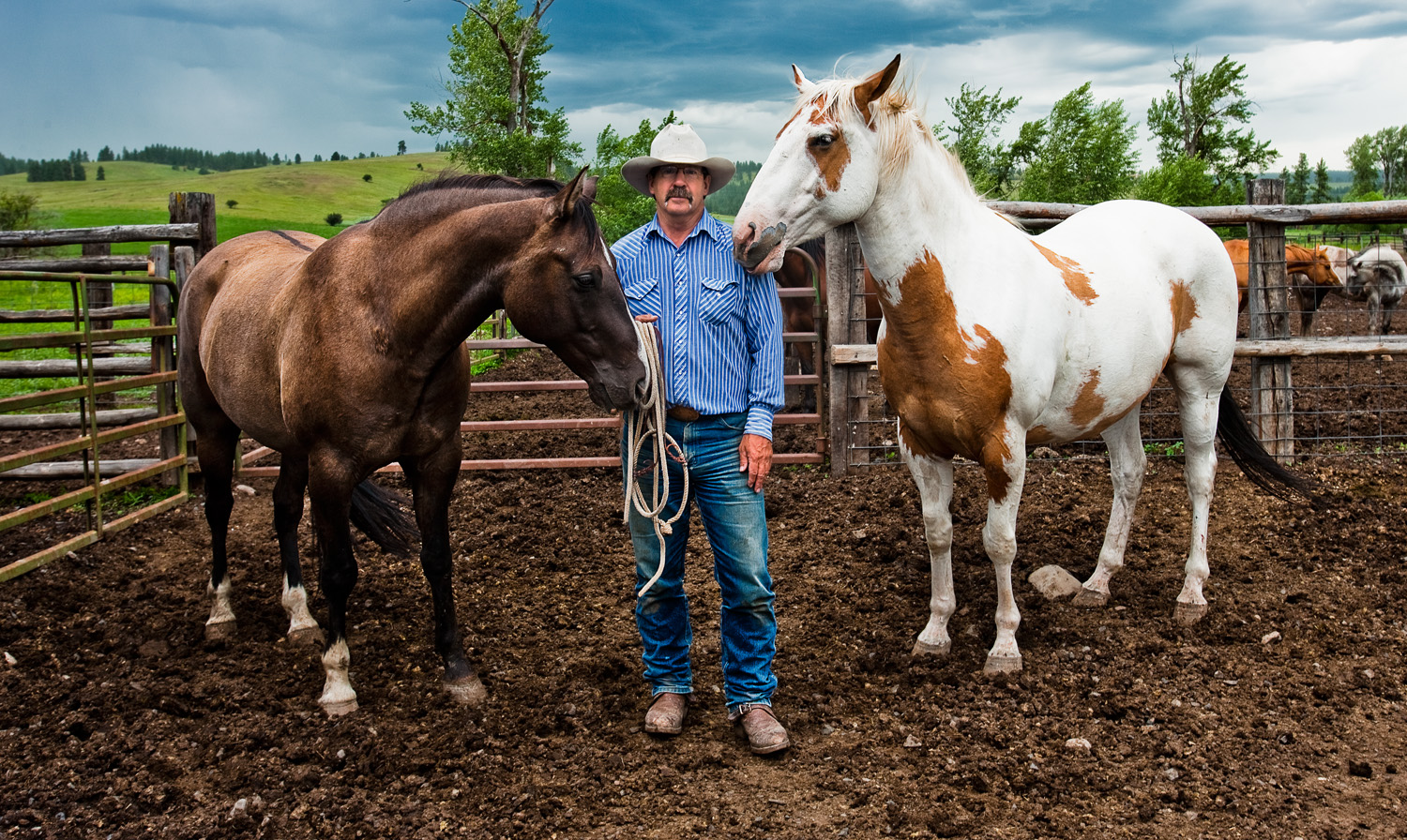 Cowboy rancher with 2 horses on location on rural ranch